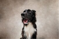 【老齢年金の盲点】月額15万円のつもりが「振込額が少ない!?」シニアが落胆する理由とは