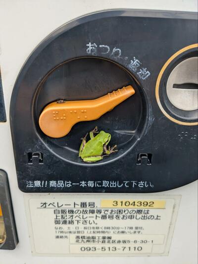 投稿の画像