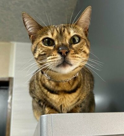 「シャキッとしろっ！！」