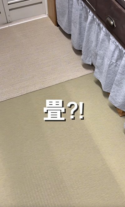 投稿の画像