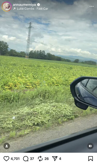 梅宮アンナのInstagram投稿