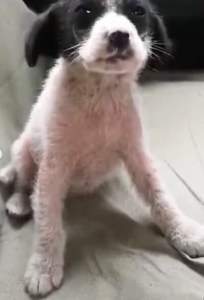 投稿の画像