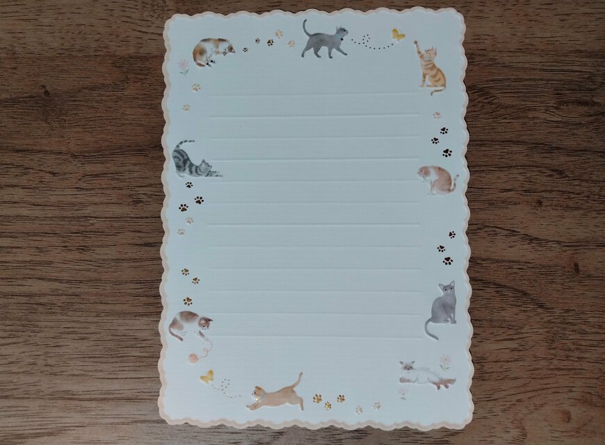 筆者撮影（ダイソー、レターセット（ネコ））