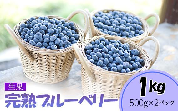 出所：ふるさとチョイス 完熟ブルーベリー1kg（生果）＜期間限定＞【ブルーベリー王国美里町からお届け！】