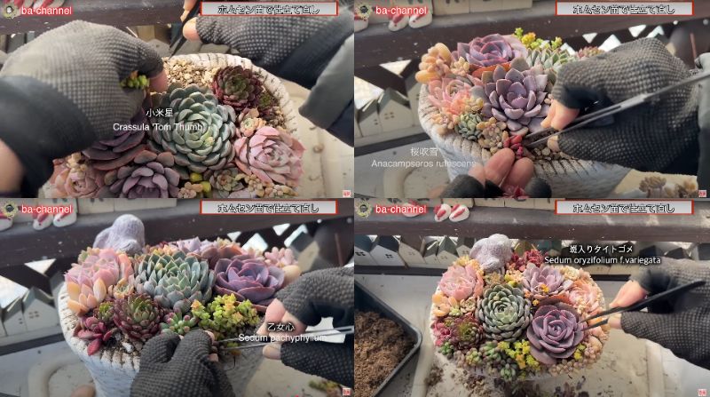 出所：@ba-channel