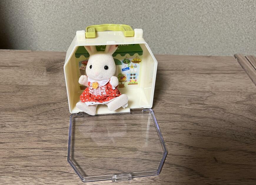 シルバニアの女の子には小さいサイズです/筆者撮影（キャンドゥ、おうち型ケース ホリデー）