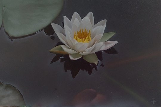 出所：@XUAhqCPELcQNiyj