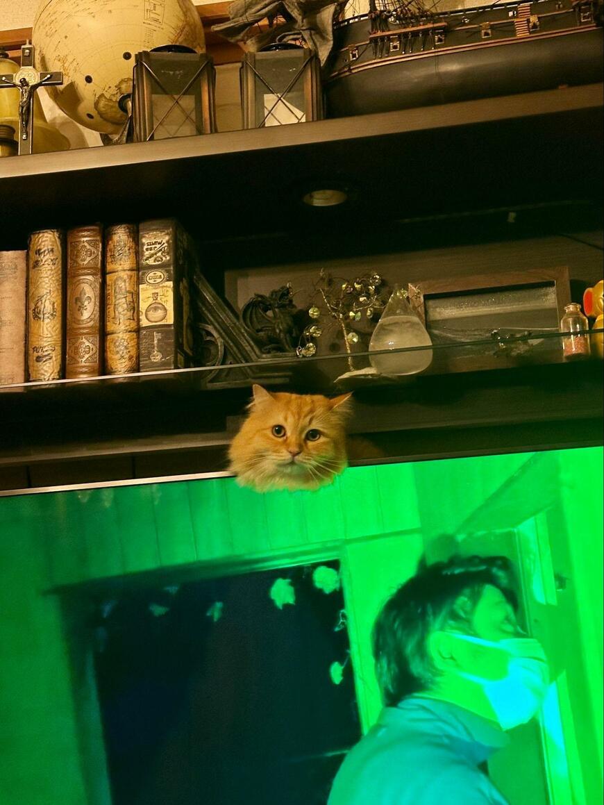 出所：@NEKOLAND13