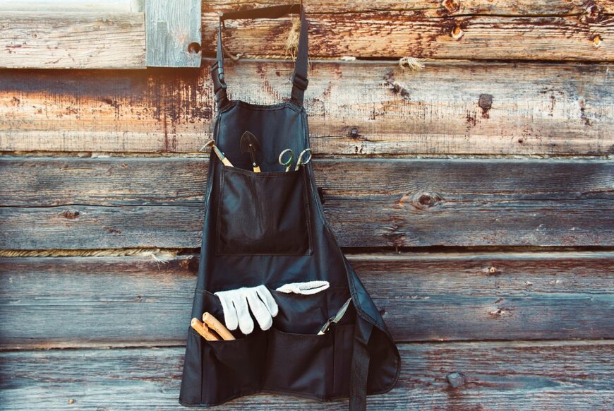 Samio20/shutterstock.com