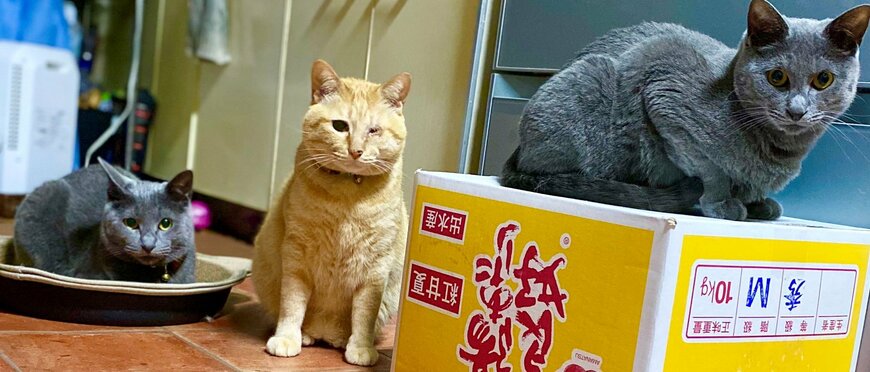 出所：@luna7taka9