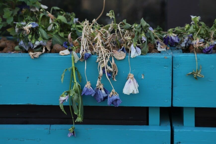 semper-scifi/shutterstock.com