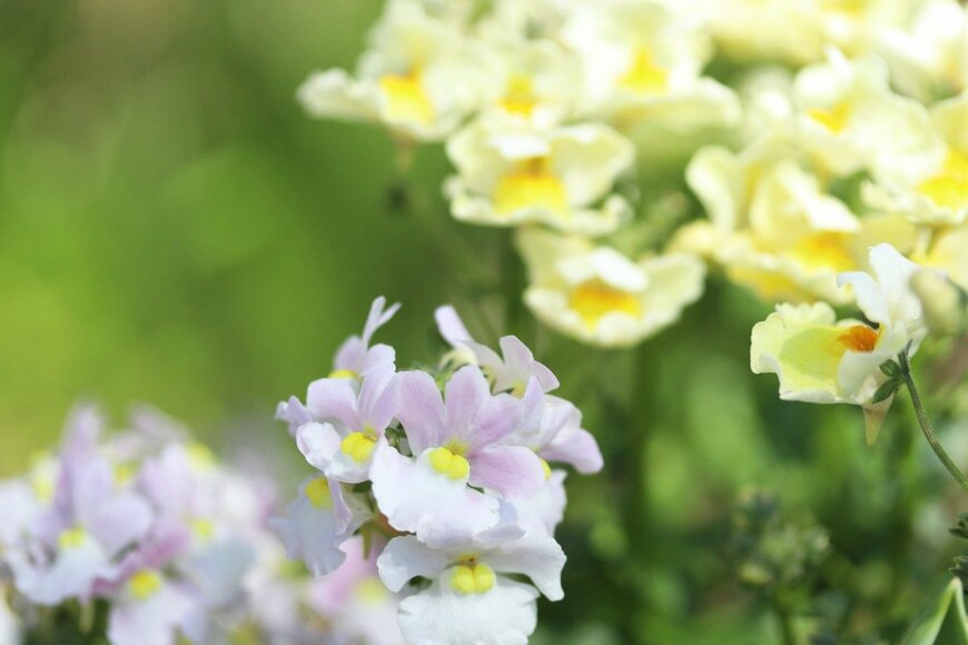 Hana-Photo/istockphoto.com