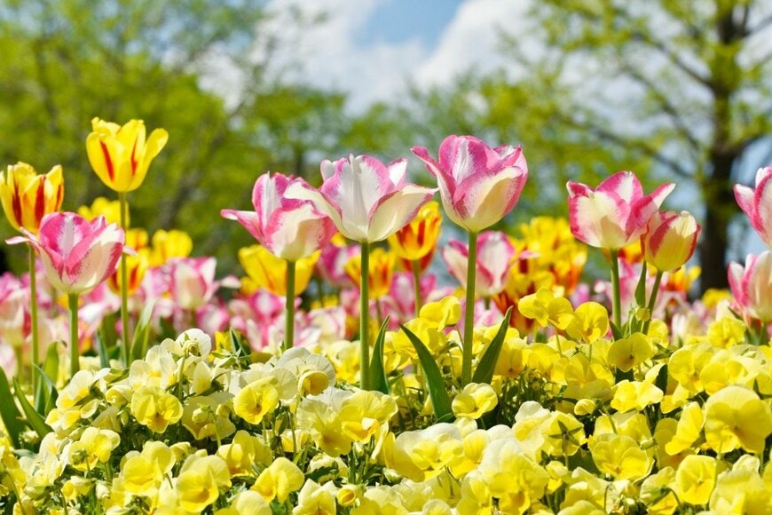 Orthosie/istockphoto.com