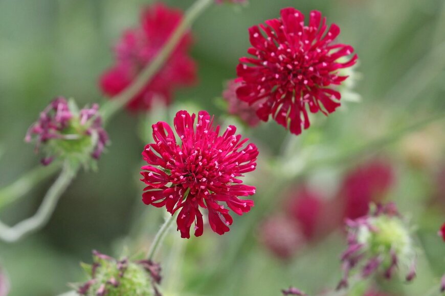 Alex Manders/shutterstock.com