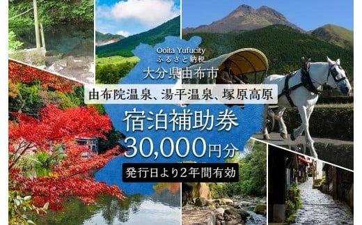 出所：ふるさとチョイス 【由布市（湯布院、由布院、湯平、塚原高原）】ふるさと納税宿泊補助券30,000円分
