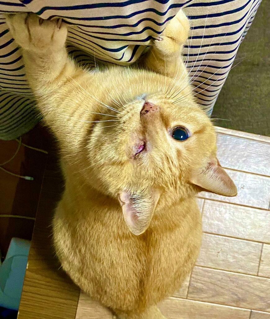 出所：@luna7taka9