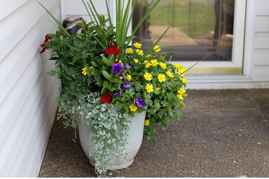 Robin Gentry/istockphoto.com