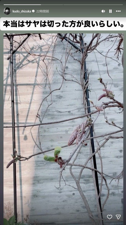 出所：工藤静香のInstagramストーリーズ（＠kudo_shizuka）　参照日：2026年3月30日