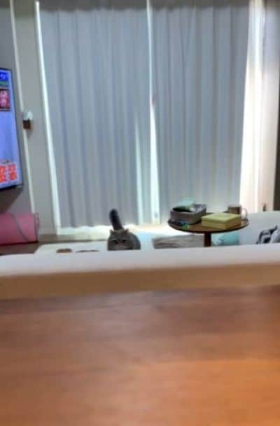 出所：@himaritomugi