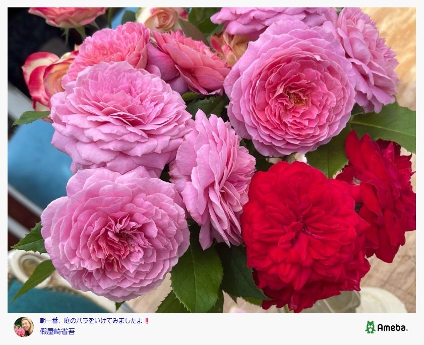 出所：假屋崎省吾のAmebaブログ 参照日：2025年7月10日