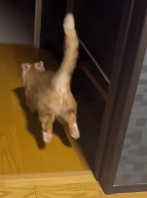 出所：@kotaro_0315