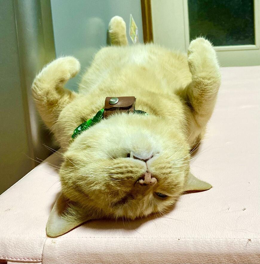 出所：@luna7taka9