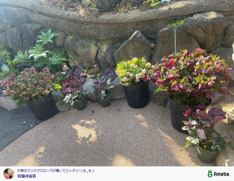 出所：假屋崎省吾の公式ブログ 参照日：2026年3月16日