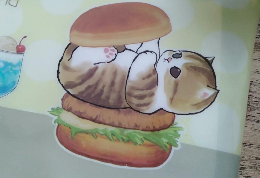 筆者撮影（セリア、mofusandマチつきポーチ）