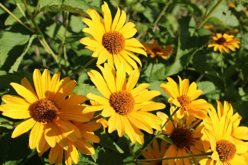 Anna Shevelevich/istockphoto.com