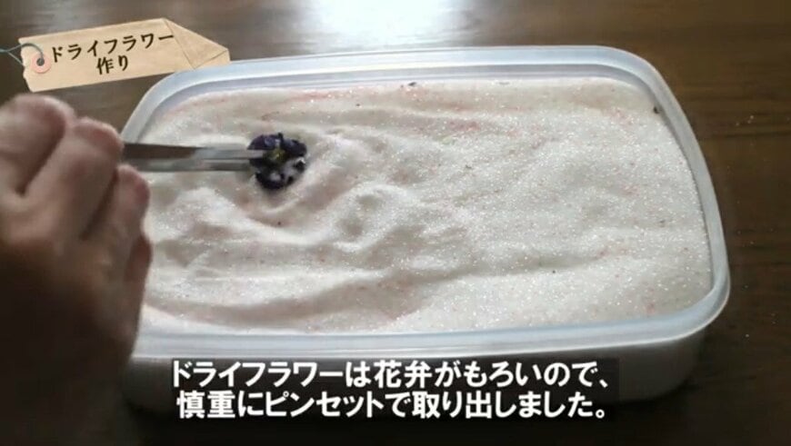 @チェリーガーデン