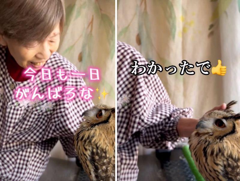 投稿動画のワンシーン