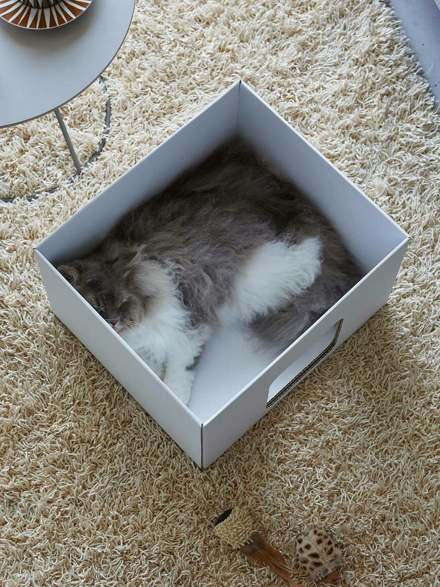 山崎実業、キャットボックスタワー 2個組画像