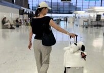 海外旅行前に準備しておきたいこと15選！元CAの解説に「勉強になります！」「カードも確認しないと」