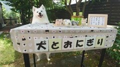 「最高の笑顔で接客される」愛犬との“ごっこ遊び”の様子に癒やされる 「全部買っちゃう」