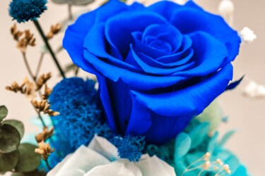 花言葉がエモい あの人に贈りたいオシャレな花 最強6選 Limo くらしとお金の経済メディア