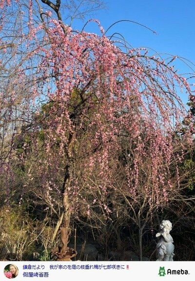 假屋崎省吾の公式ブログ投稿