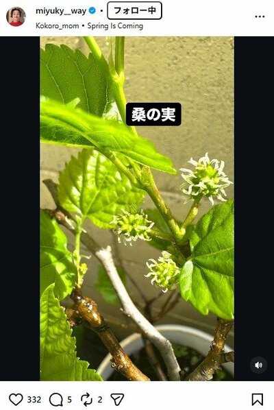 香坂みゆきのInstagram投稿