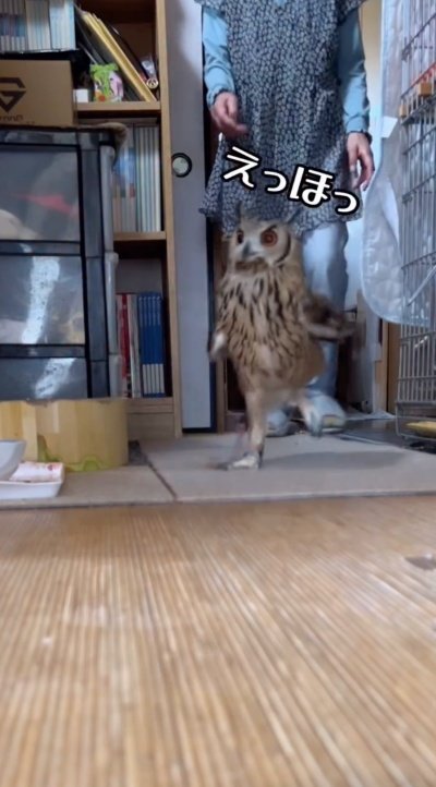 投稿動画のワンシーン