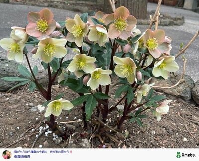 假屋崎省吾の公式ブログ投稿