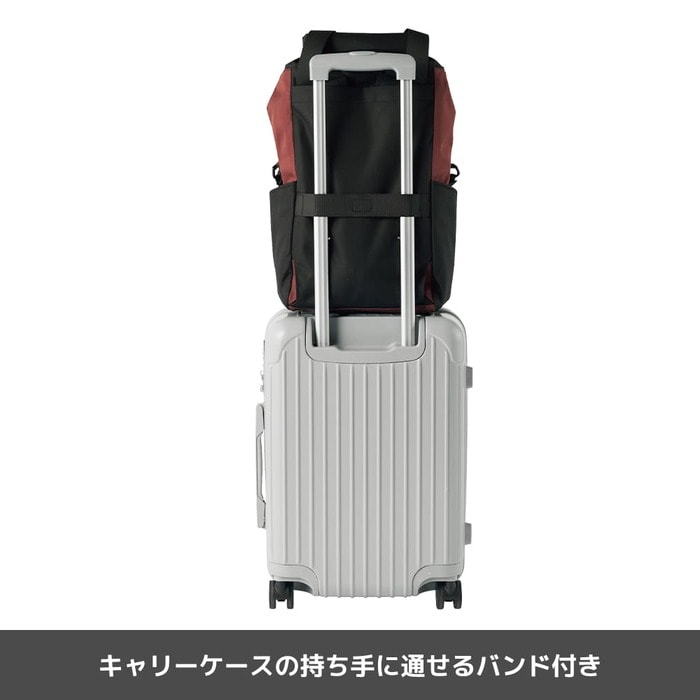 価格は税込み3900円