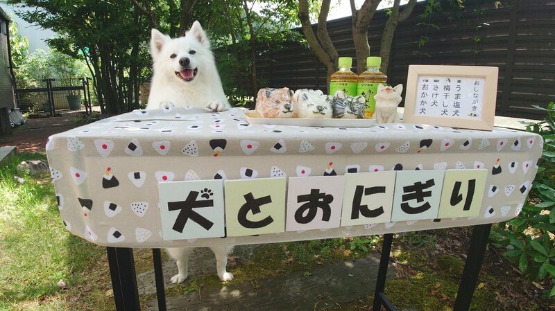 「最高の笑顔で接客される」愛犬との“ごっこ遊び”の様子に癒やされる 「全部買っちゃう」