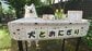 「最高の笑顔で接客される」愛犬との“ごっこ遊び”の様子に癒やされる　「全部買っちゃう」