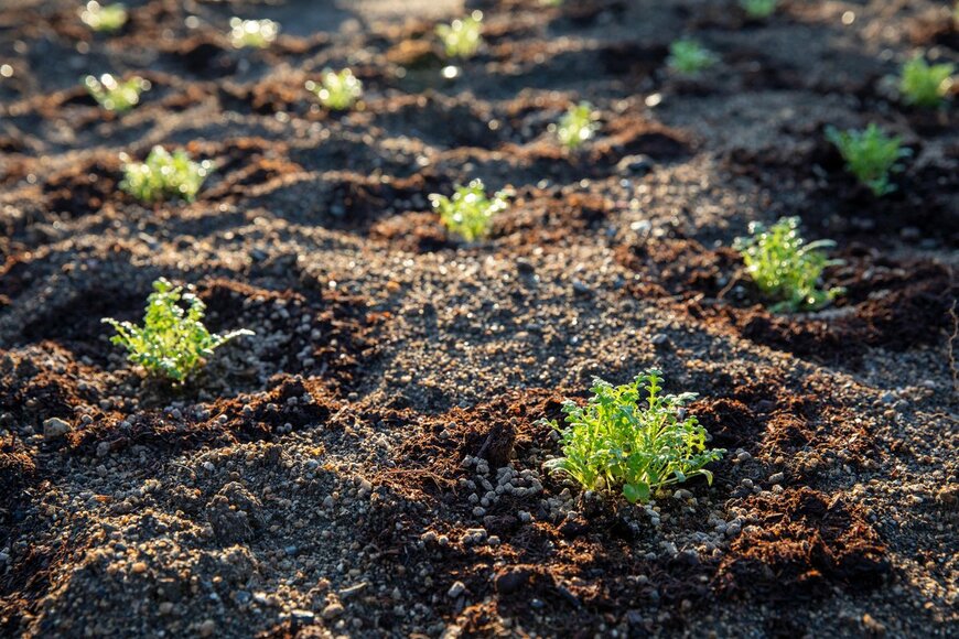 HikoPhotography/Shutterstock.com