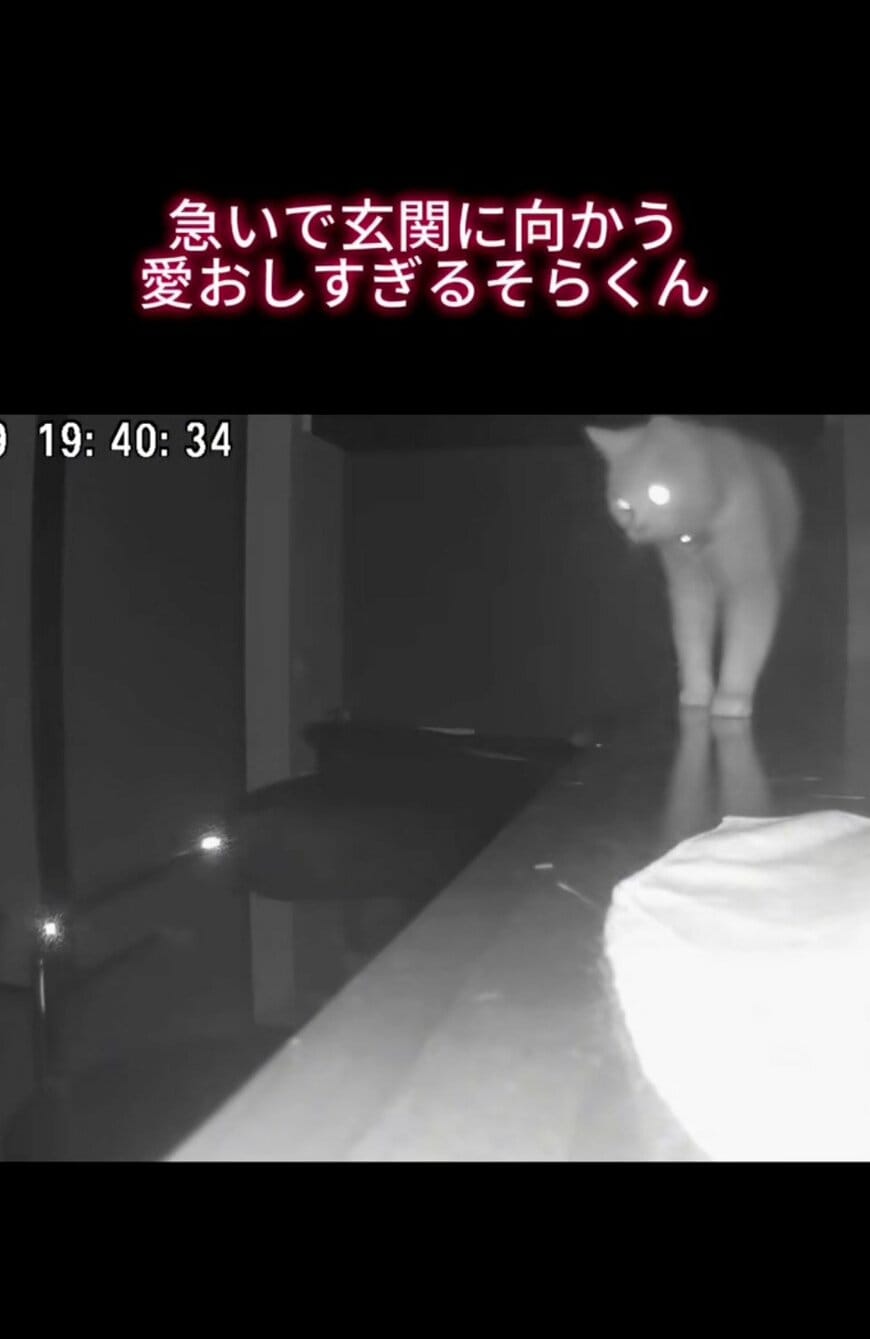 出所：@sorakai0905