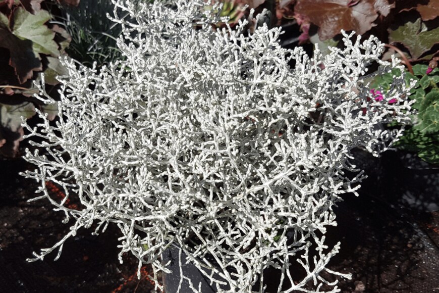 emer1940/istockphoto.com