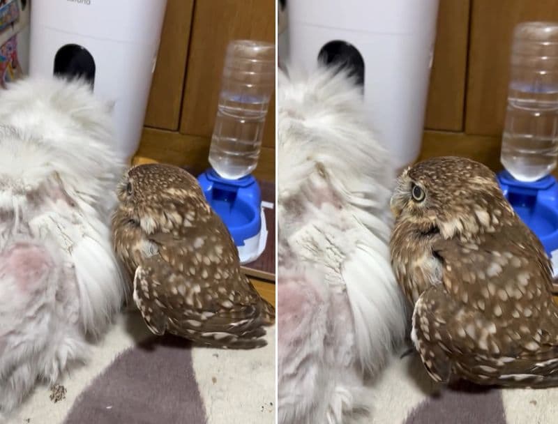 出所：@cr8673.hiro