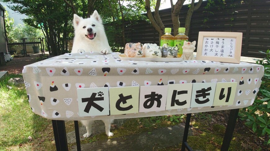 「最高の笑顔で接客される」愛犬との“ごっこ遊び”の様子に癒やされる　「全部買っちゃう」