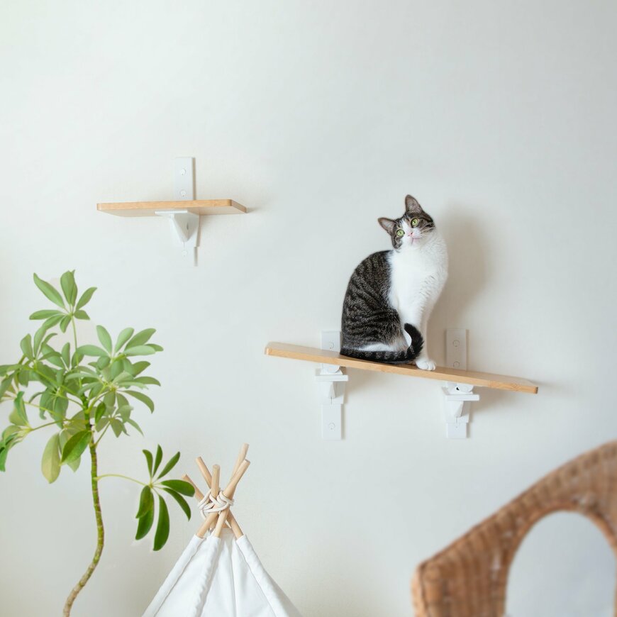 出所：平安伸銅工業株式会社　キャットウォーク 傾斜タイプ ホワイト（CFL-2WH）