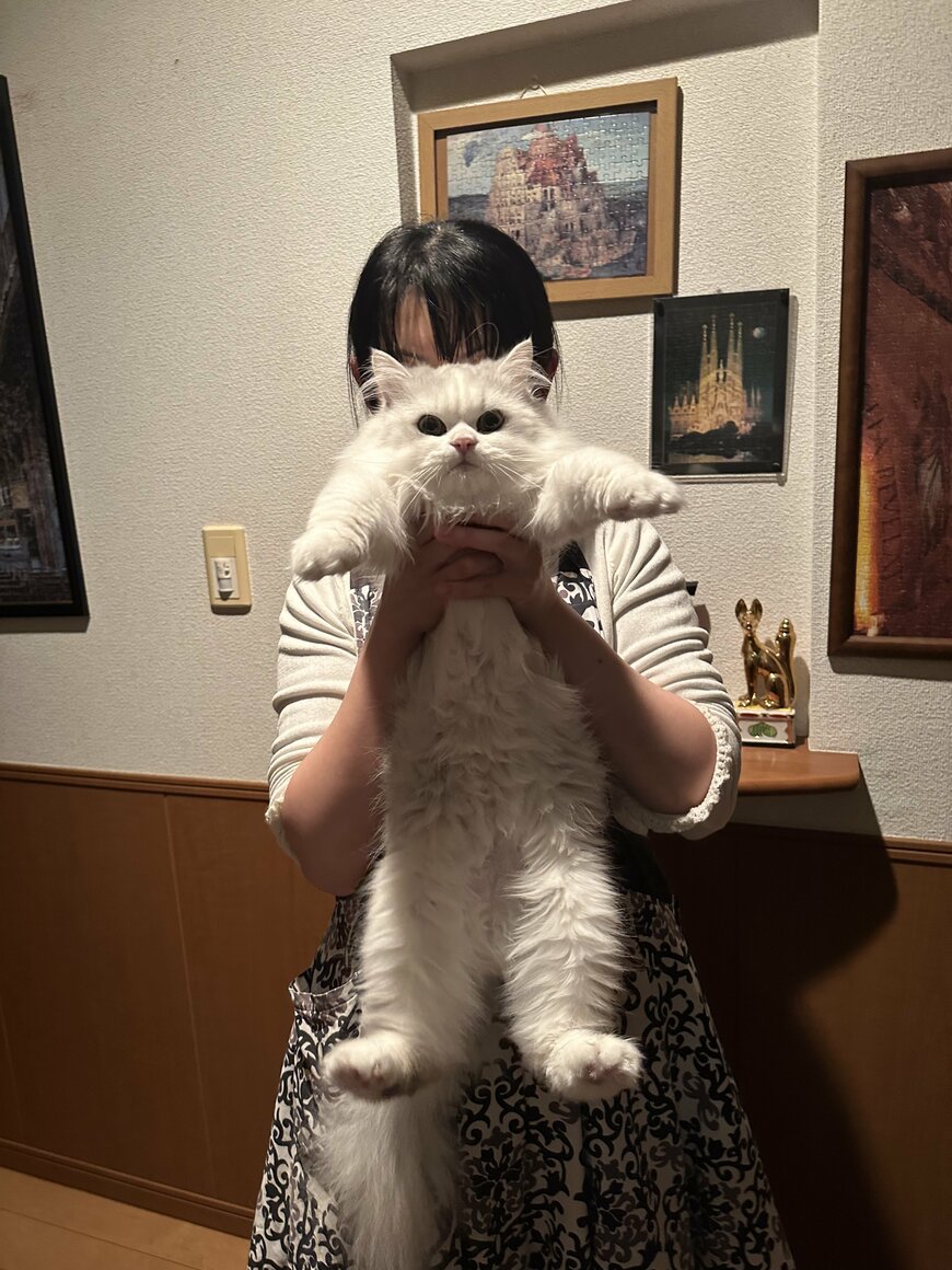 出所：@NEKOLAND13