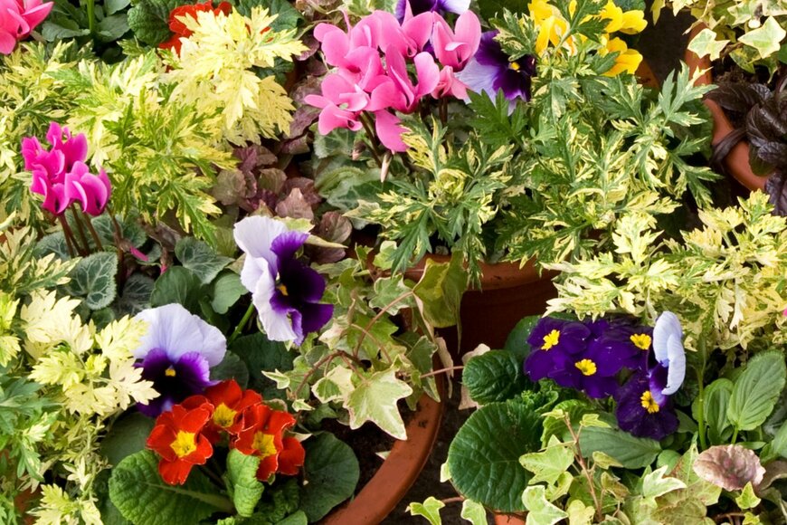 Sally Wallis/shutterstock.com